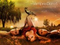 /album/fenykepgaleria/tvd-wallpapers-the-vampire-diaries-9405341-1024-768-large-jpg/